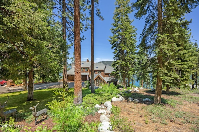 187 Yellow Jacket Rd, Glenbrook, NV 89413 - view of green lawn