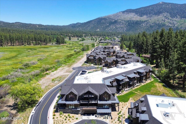 17 Beach Club Dr # 213, Stateline, NV 89449 - bird's eye view of a mountainous background and a forest