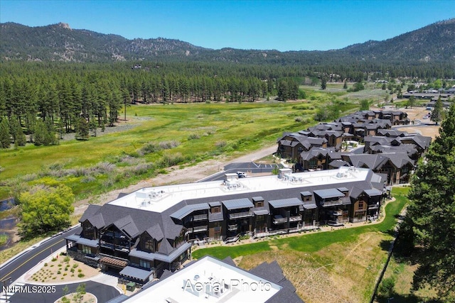 17 Beach Club Dr # 213, Stateline, NV 89449 - aerial view of a mountain backdrop