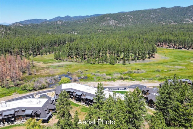 17 Beach Club Dr # 213, Stateline, NV 89449 - drone / aerial view of a heavily wooded area and mountains