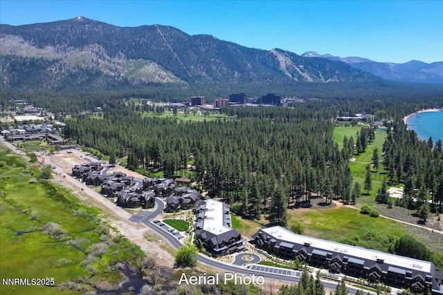 17 Beach Club Dr # 213, Stateline, NV 89449 - aerial view of property and surrounding area with a mountain backdrop and a forest