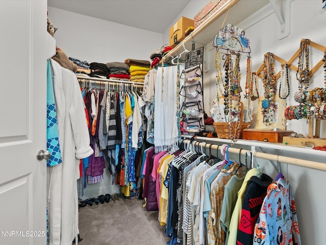 2217 Millville Dr, Spanish Springs, NV 89441 - spacious closet with carpet floors