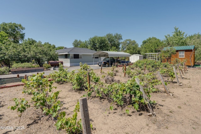 5385 Carol Dr, Sun Valley, NV 89433 - view of yard featuring a shed, a detached carport, and a vegetable garden