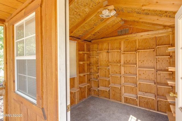 5385 Carol Dr, Sun Valley, NV 89433 - view of storage room