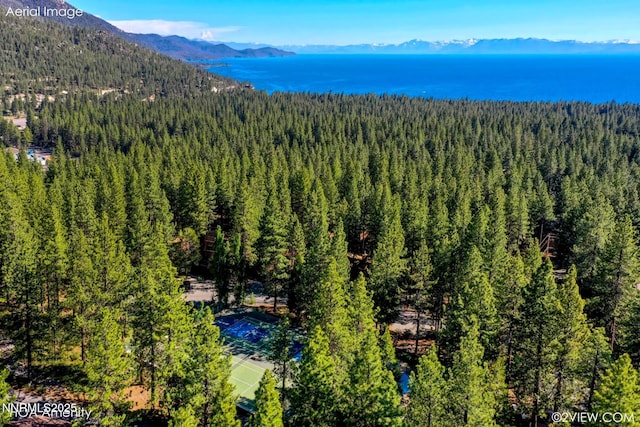 1064 Lucerne Way, Incline Village, NV 89451 - bird's eye view of a forest and mountains
