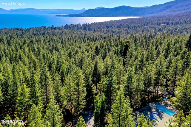 1064 Lucerne Way, Incline Village, NV 89451 - drone / aerial view of a forest and a water and mountain view