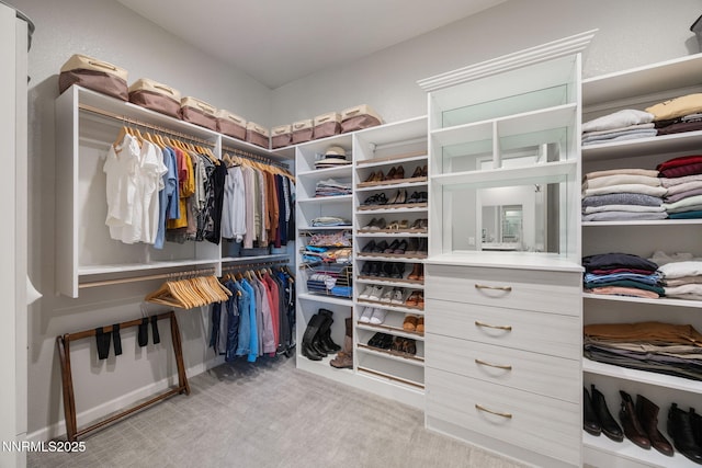 2021 Neviekay Ln, Reno, NV 89521 - walk in closet featuring carpet