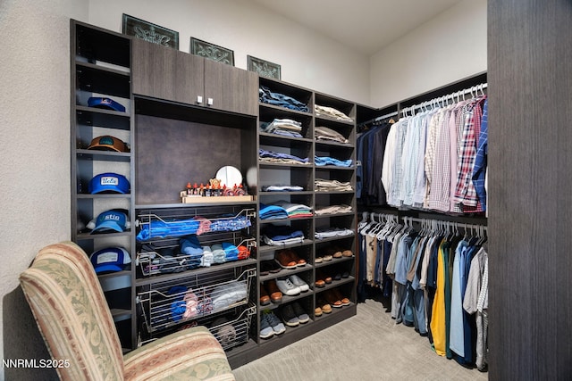 2021 Neviekay Ln, Reno, NV 89521 - spacious closet with carpet