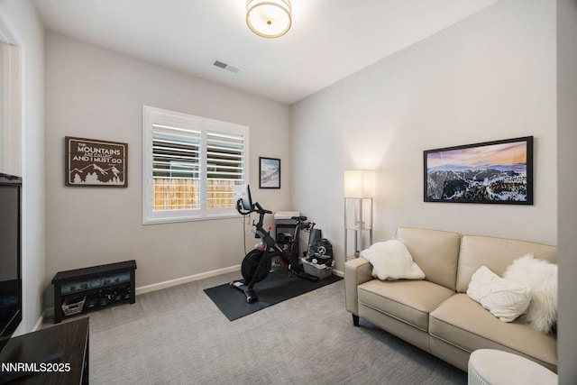 2021 Neviekay Ln, Reno, NV 89521 - workout room featuring carpet floors and baseboards