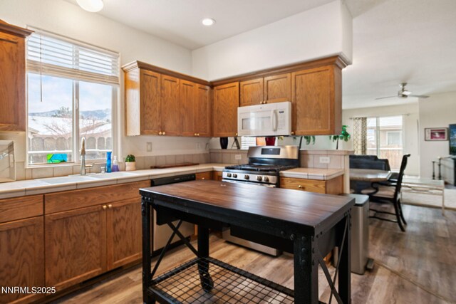 240 Cruden Bay Dr, Dayton, NV 89403 - photo 17