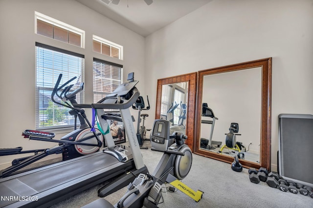 11575 Anthem Dr, Spanish Springs, NV 89441 - exercise area with carpet and ceiling fan