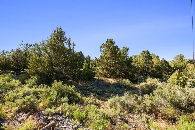 2260 Empire Rd, Reno, NV 89521 - view of local wilderness