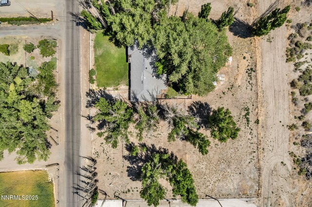 6 Green Acres Ln, Yerington, NV 89447 - photo 53