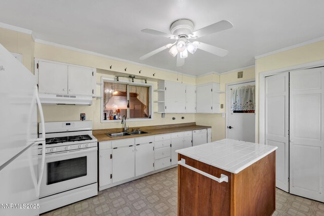 6 Green Acres Ln, Yerington, NV 89447 - photo 14