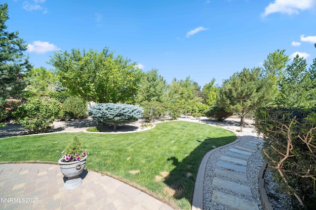 3970 Nature Trl, Reno, NV 89511 - view of grassy yard