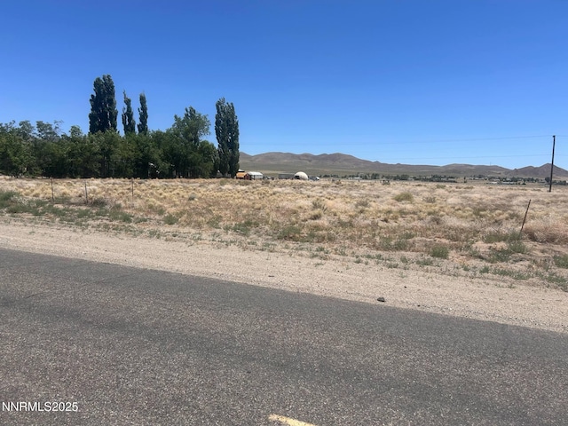 557 Pete Hendrichs Rd, Yerington, NV 89447 - photo 1