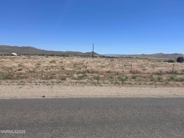 557 Pete Hendrichs Rd, Yerington, NV 89447 - photo 4