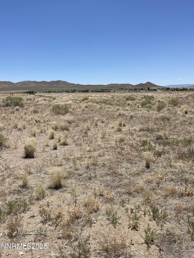 557 Pete Hendrichs Rd, Yerington, NV 89447 - photo 12