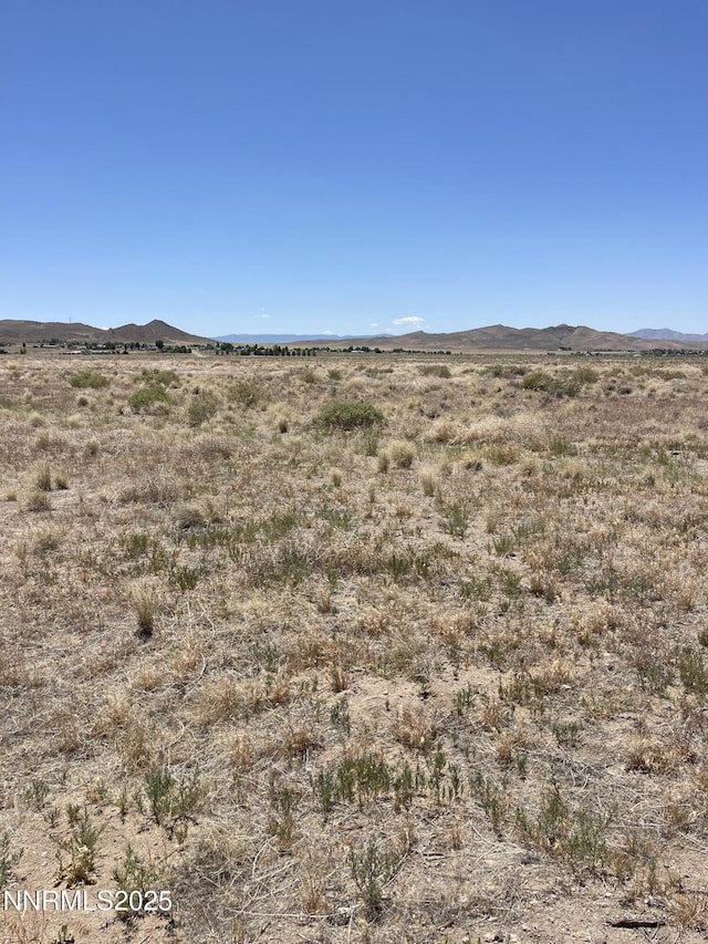 557 Pete Hendrichs Rd, Yerington, NV 89447 - photo 13