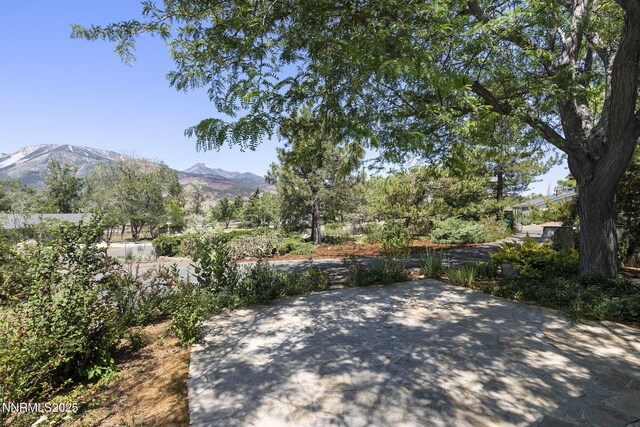 1500 Brenda Way, Washoe Valley, NV 89704 - photo 3