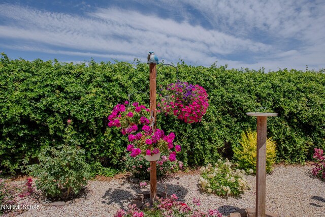 112 Eaglebrook Ln, Dayton, NV 89403 - photo 43