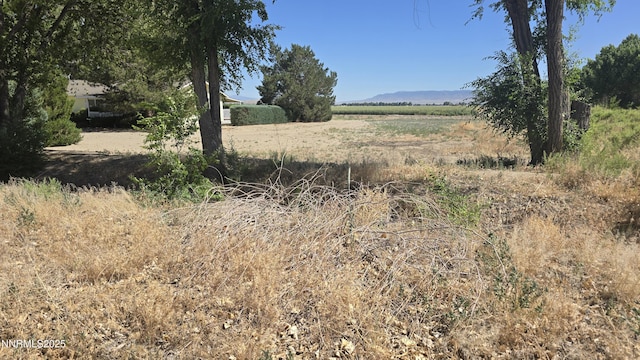 012-131-26 Mason Rd, Yerington, NV 89447 - photo 1
