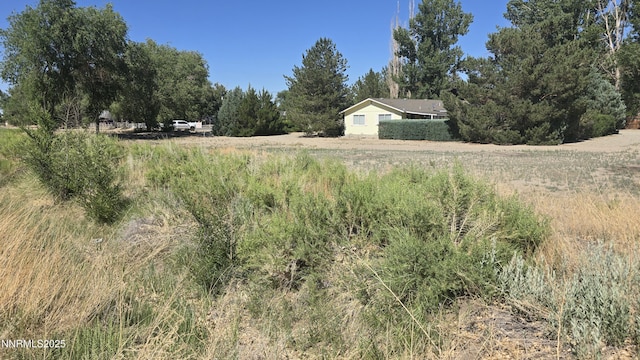 012-131-26 Mason Rd, Yerington, NV 89447 - photo 3