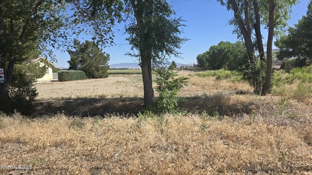 012-131-26 Mason Rd, Yerington, NV 89447 - photo 10