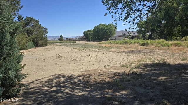 012-131-26 Mason Rd, Yerington, NV 89447 - photo 12