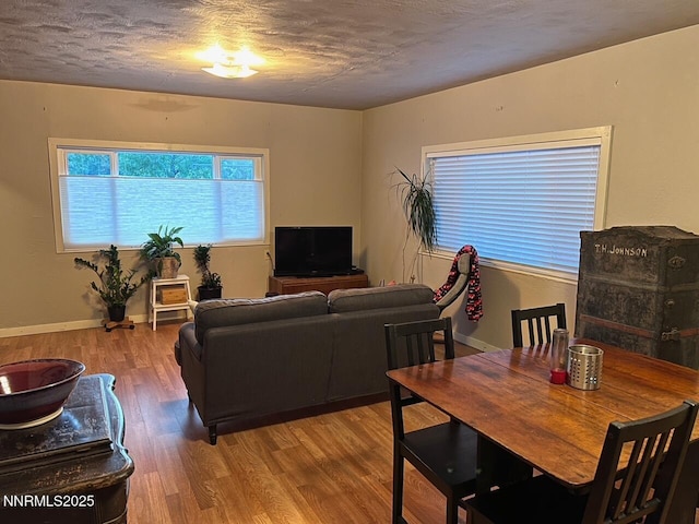 223 S Harbin Ave, Carson City, NV 89701 - photo 3