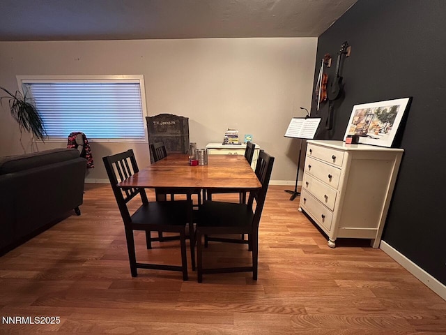 223 S Harbin Ave, Carson City, NV 89701 - photo 4