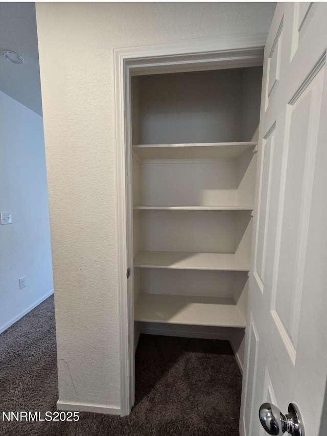 9615 Nautical Mile Rd, Reno, NV 89506 - view of closet