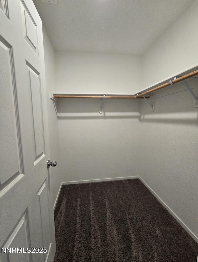 9615 Nautical Mile Rd, Reno, NV 89506 - walk in closet with carpet flooring