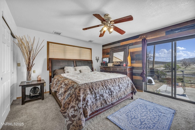 6200 Winnemucca Ranch Rd, Reno, NV 89510 - carpeted bedroom featuring access to outside, a closet, a ceiling fan, a textured ceiling, and a mountain view