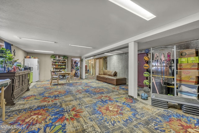 6200 Winnemucca Ranch Rd, Reno, NV 89510 - finished below grade area with freestanding refrigerator
