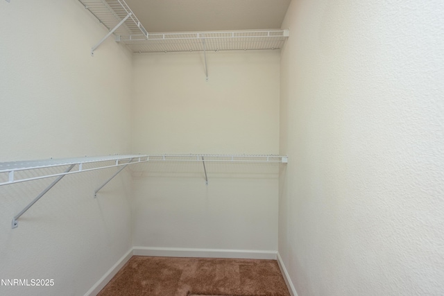 1421 Chiltern Ct, Gardnerville, NV 89410 - walk in closet featuring carpet flooring