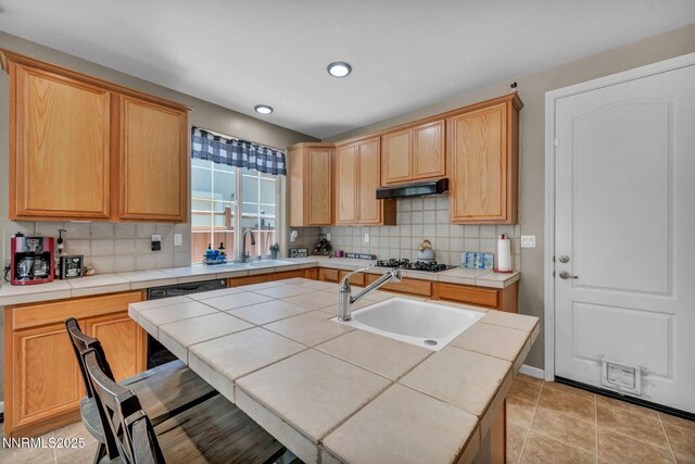 4160 Mystery Dr, Sparks, NV 89436 - photo 19