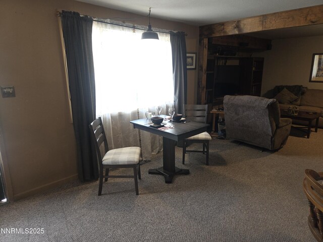 9090 Reservoir St, Reno, NV 89506 - photo 11