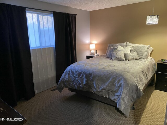 9090 Reservoir St, Reno, NV 89506 - photo 16