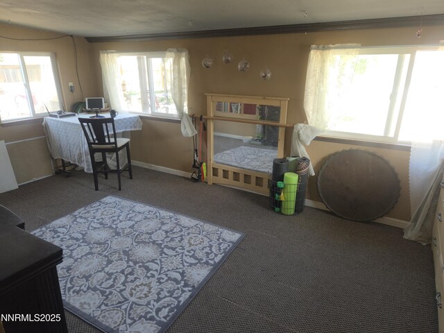 9090 Reservoir St, Reno, NV 89506 - photo 21