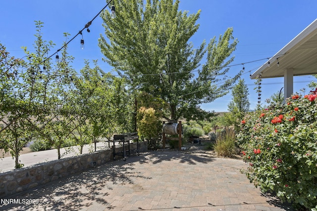 5 Connie Way, Reno, NV 89521 - view of patio / terrace