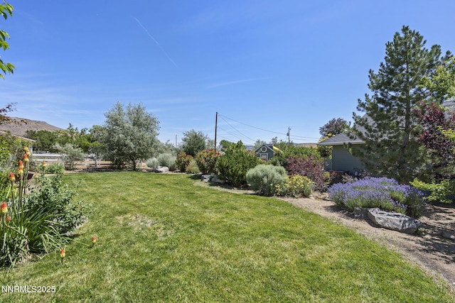 5 Connie Way, Reno, NV 89521 - view of grassy yard
