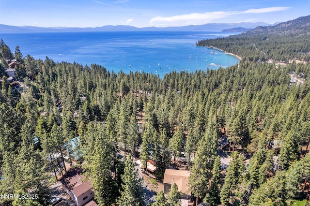 638 N Martin Dr, Zephyr Cove, NV 89448 - aerial view of a heavily wooded area and a water and mountain view