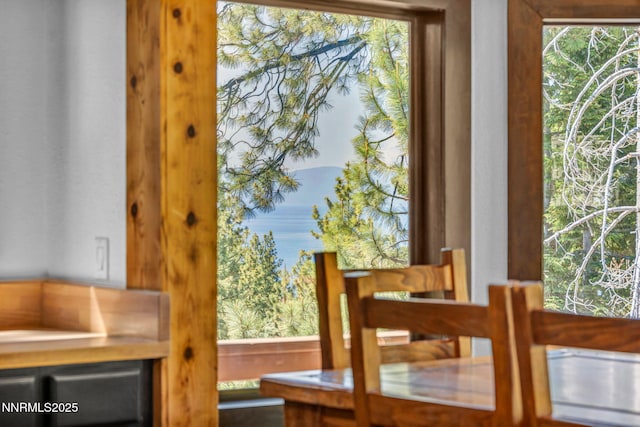 638 N Martin Dr, Zephyr Cove, NV 89448 - detailed view