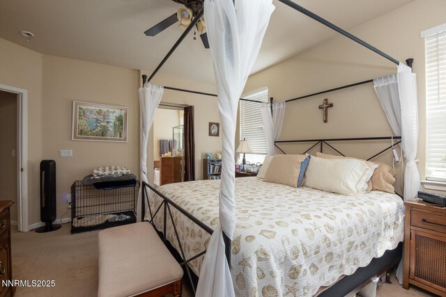 101 Moore Ave, Dayton, NV 89403 - photo 16