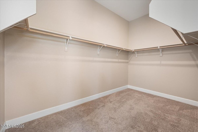 435 Gooseberry Dr, Reno, NV 89523 - walk in closet featuring carpet