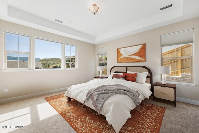 435 Gooseberry Dr, Reno, NV 89523 - carpeted bedroom featuring a tray ceiling and baseboards