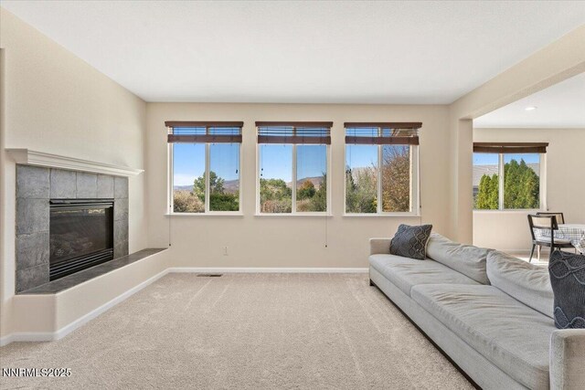 754 Gray Hawk Dr, Dayton, NV 89403 - photo 7