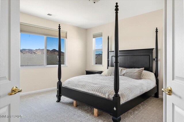 754 Gray Hawk Dr, Dayton, NV 89403 - photo 14