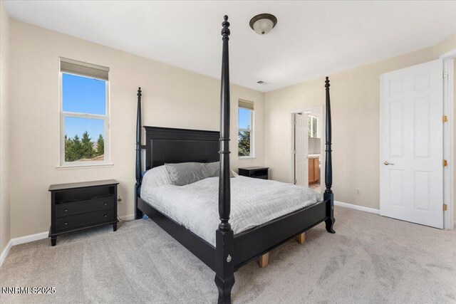 754 Gray Hawk Dr, Dayton, NV 89403 - photo 15